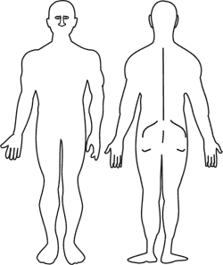 Image used in body mapping survey